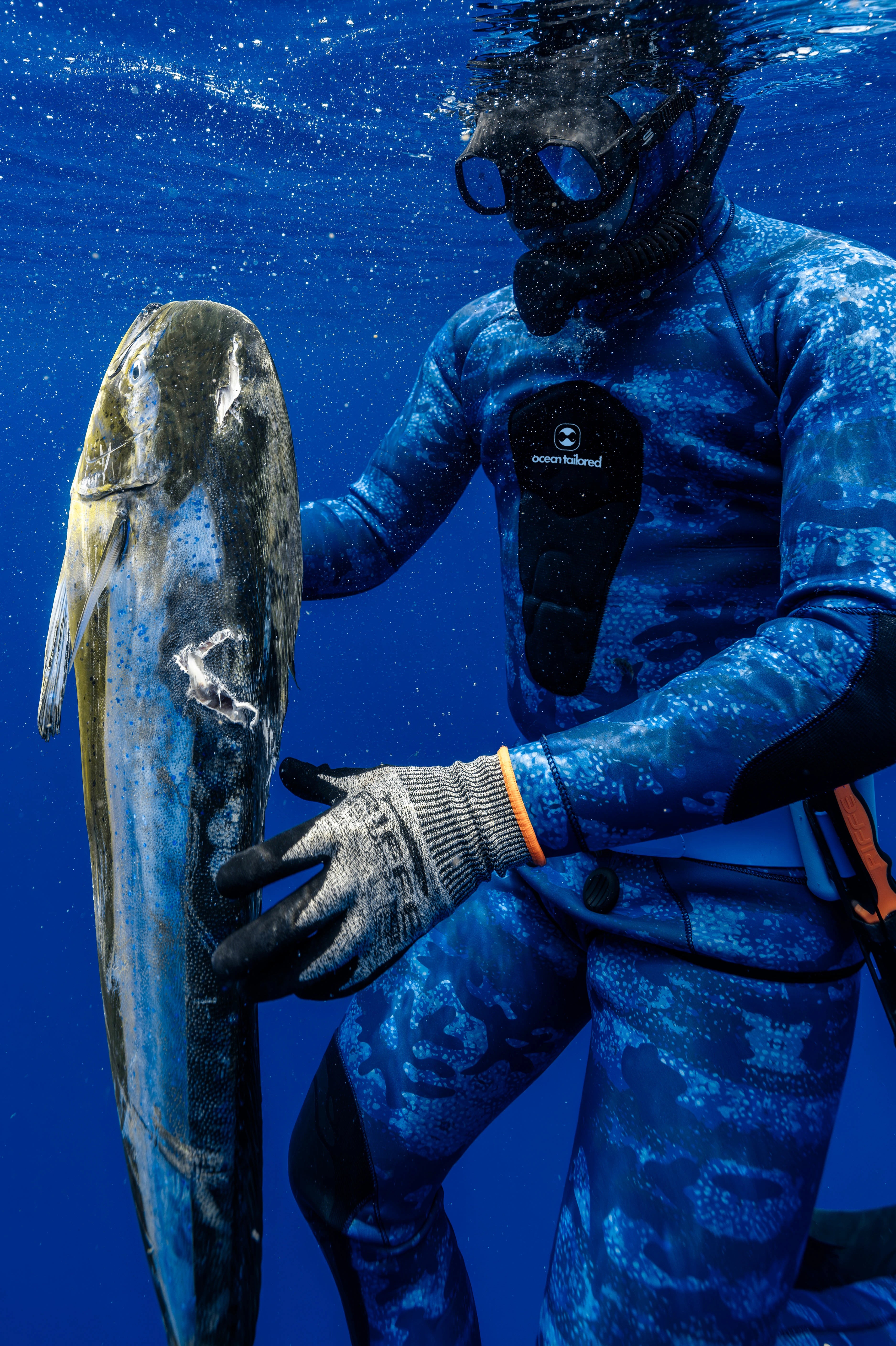 A diver in a blue camouflage wetsuit and mask holds a large fish underwater against a deep blue ocean background. The wetsuit has a visible 'swimland' logo on the chest.