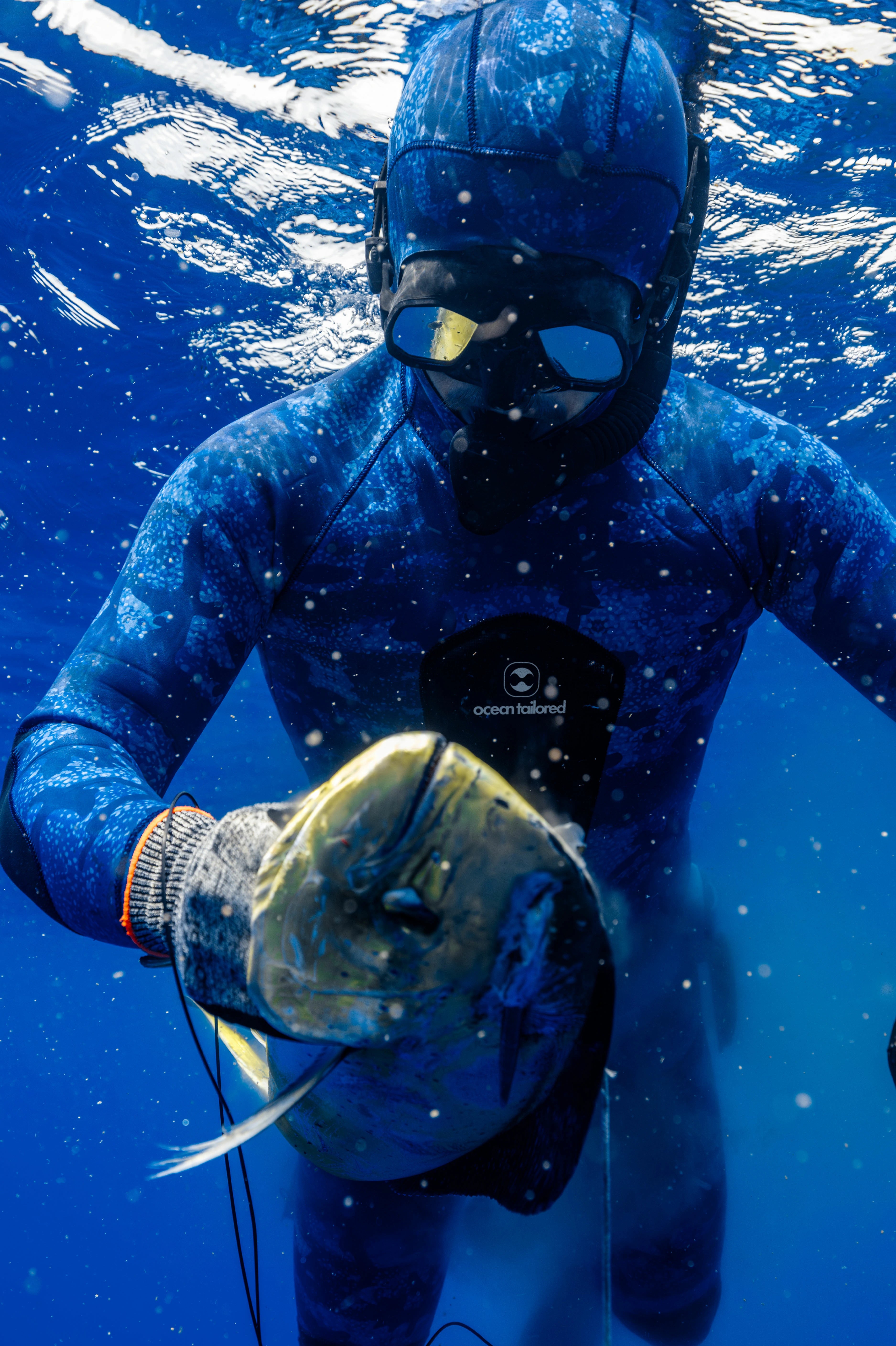 An underwater shot of a diver in a blue full-body wetsuit and mask holding a large fish. A black chest-mounted device with the white logo 'ocean island' is visible on the diver's chest.