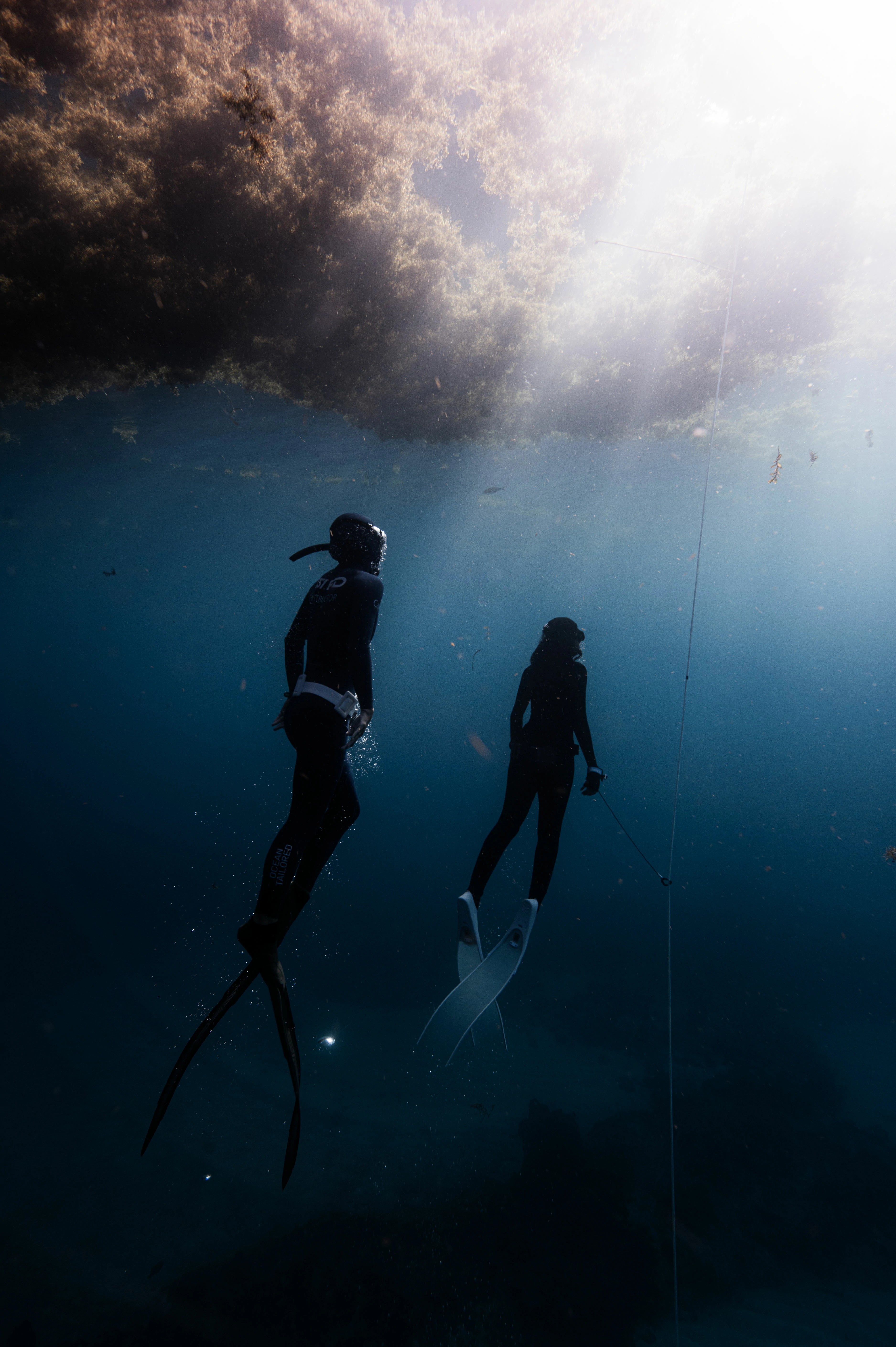 Two swimmers in full-body black wetsuits and fins floating underwater in deep blue water, with sunlight streaming through from the surface and a coral reef visible above.
